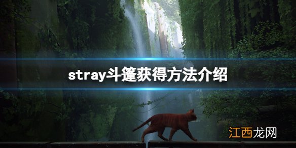 stray斗篷给谁 stray斗篷获得方法介绍