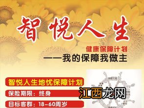 平安智悦人生2017年金保险多久可以回本呢？