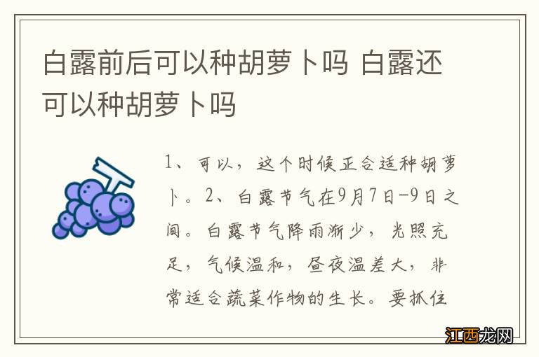 白露前后可以种胡萝卜吗 白露还可以种胡萝卜吗