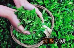 季季香茶叶怎么样