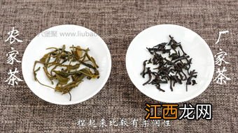 六堡茶怎么分好坏