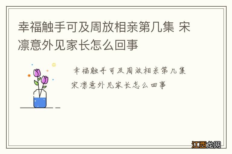 幸福触手可及周放相亲第几集 宋凛意外见家长怎么回事