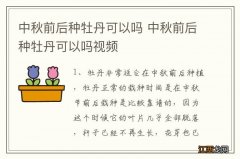 中秋前后种牡丹可以吗 中秋前后种牡丹可以吗视频