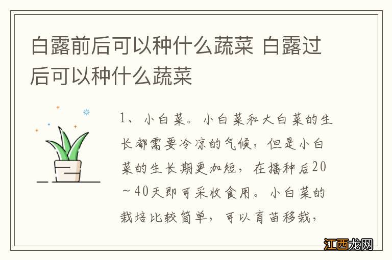 白露前后可以种什么蔬菜 白露过后可以种什么蔬菜