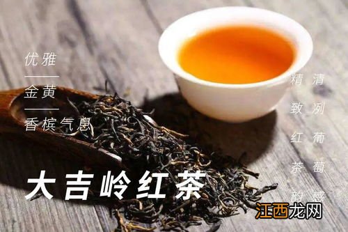 大吉岭红茶怎么泡