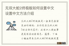 无双大蛇2终极版如何设置中文 设置中文方法介绍