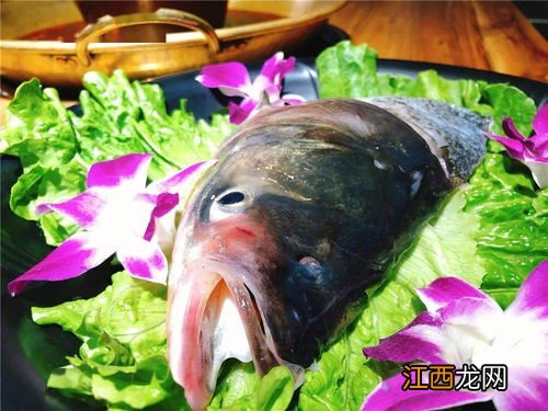 花鲢鱼头什么呀