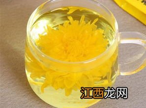 怎么选菊花茶