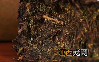 黑茶金花怎么形成