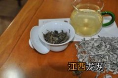 雪山古茶怎么泡