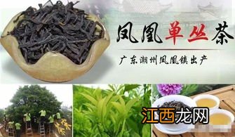 名枞怎么读