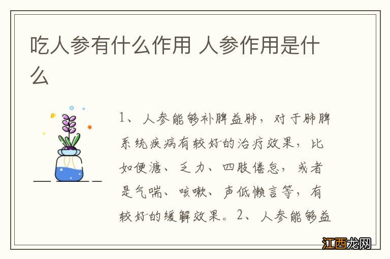 吃人参有什么作用 人参作用是什么