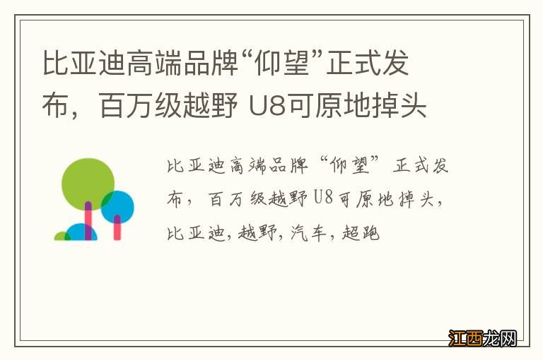 比亚迪高端品牌“仰望”正式发布，百万级越野 U8可原地掉头