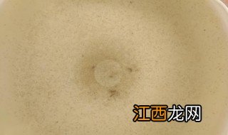 水蚤在家繁殖容易嘛 水蚤家庭养殖注意事项