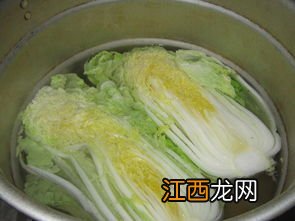 什么菜能腌制酸菜