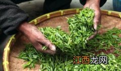 茶叶喝进去怎么办