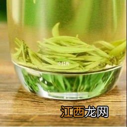 毛尖茶怎么样