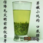 毛尖茶怎么样