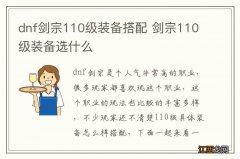 dnf剑宗110级装备搭配 剑宗110级装备选什么