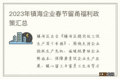 2023年镇海企业春节留甬福利政策汇总