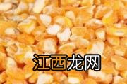 玉米里面含有蛋白质吗 玉米有什么功效与作用