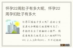 怀孕22周肚子有多大呢，怀孕22周孕妇肚子有多大