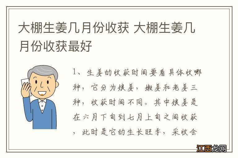 大棚生姜几月份收获 大棚生姜几月份收获最好