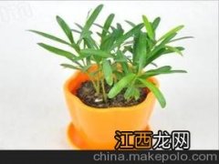 怎么做花盆紫砂泥自制