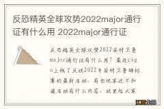 反恐精英全球攻势2022major通行证有什么用 2022major通行证