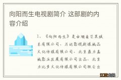 向阳而生电视剧简介 这部剧的内容介绍