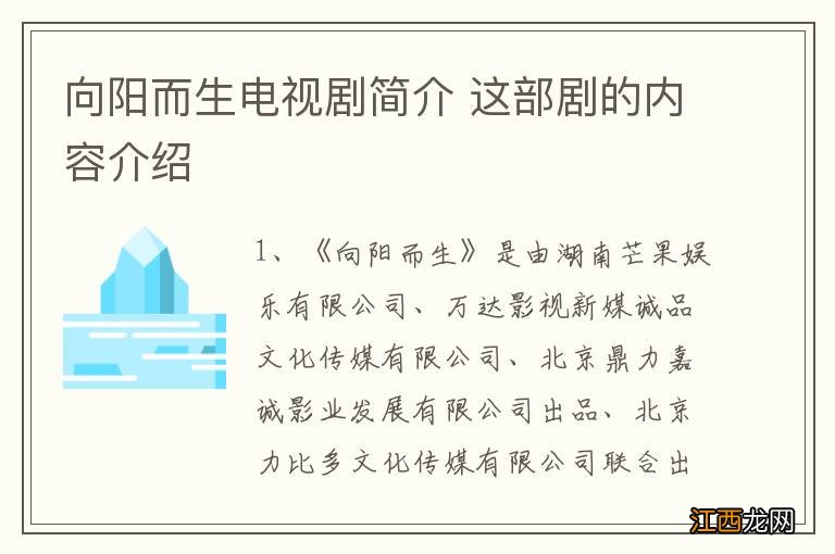 向阳而生电视剧简介 这部剧的内容介绍