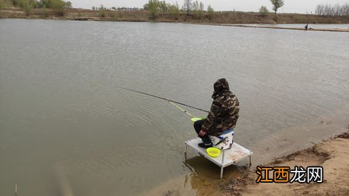 春季钓什么鱼好 我认为以下这几种