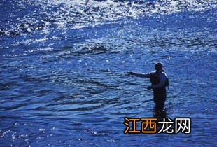 在流水河里钓鱼怎样调浮漂 在流水河里钓鱼调浮漂的方法