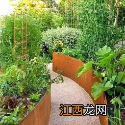 菜园种植搭配 菜园怎么搭配比较好