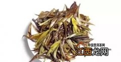 茶芽苞怎么分好坏