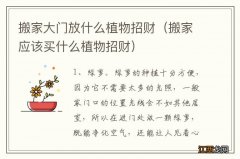 搬家应该买什么植物招财 搬家大门放什么植物招财