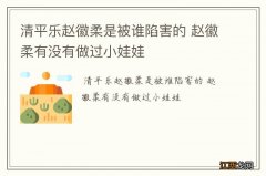 清平乐赵徽柔是被谁陷害的 赵徽柔有没有做过小娃娃