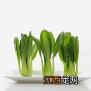 小油菜多久长成