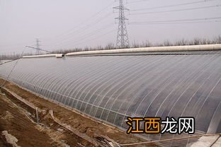 温室大棚怎么盖塑料布 方法请查收