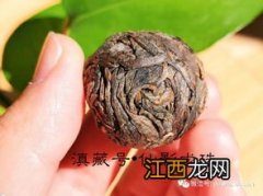 龙珠普洱茶怎么保存