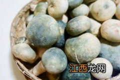 青头菌汤怎么煮好喝