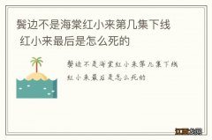 鬓边不是海棠红小来第几集下线 红小来最后是怎么死的