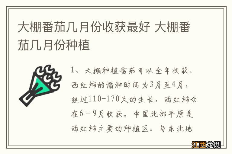 大棚番茄几月份收获最好 大棚番茄几月份种植