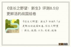 《信长之野望：新生》评测8.5分 更鲜活的战国绘卷