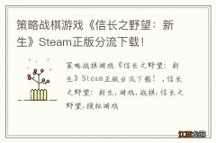 策略战棋游戏《信长之野望：新生》Steam正版分流下载！