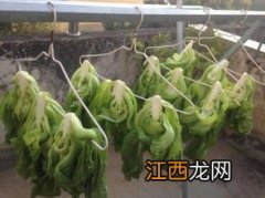 青菜怎么弄成泥