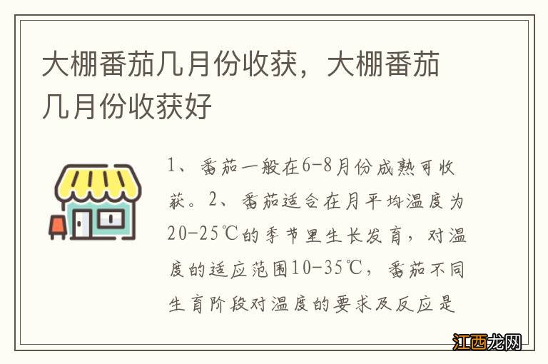 大棚番茄几月份收获，大棚番茄几月份收获好