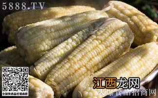 糯玉米多久能熟