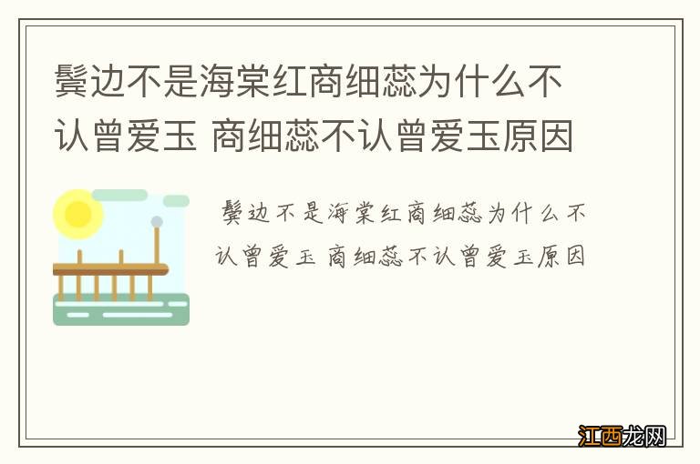 鬓边不是海棠红商细蕊为什么不认曾爱玉 商细蕊不认曾爱玉原因