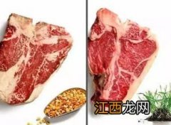 牛肉和什么馅好